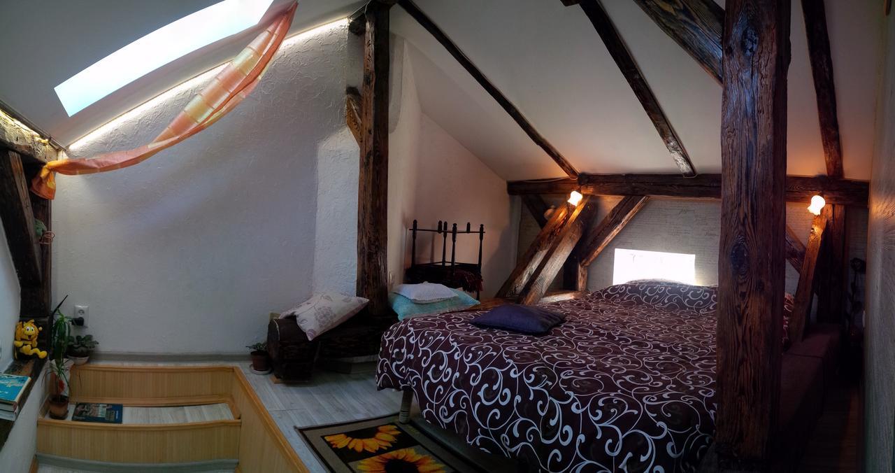 Lviv Amazing Rooftop Apartment Εξωτερικό φωτογραφία