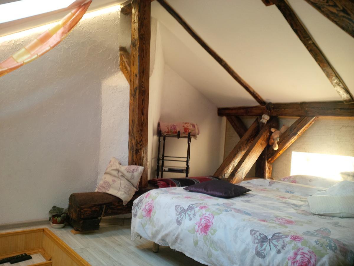 Lviv Amazing Rooftop Apartment Εξωτερικό φωτογραφία