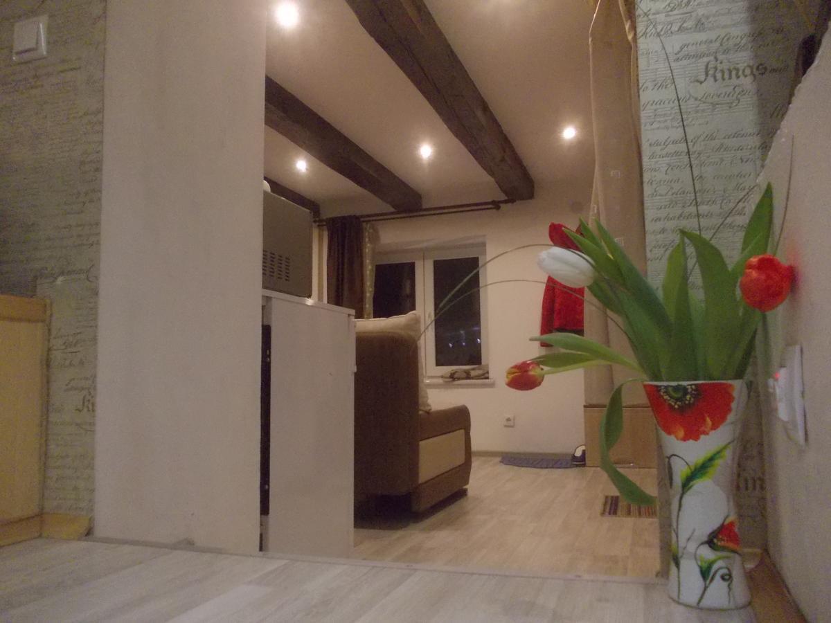Lviv Amazing Rooftop Apartment Εξωτερικό φωτογραφία