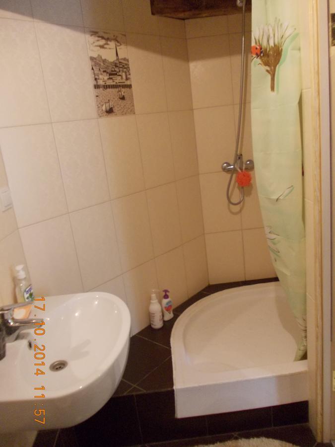 Lviv Amazing Rooftop Apartment Εξωτερικό φωτογραφία